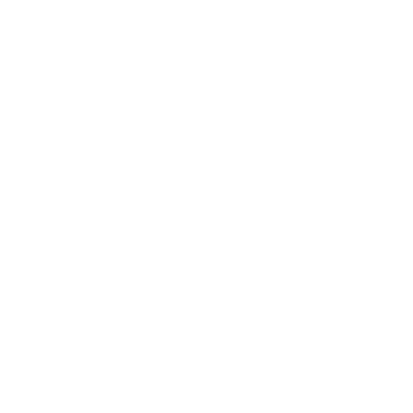 Logo andreypedroso